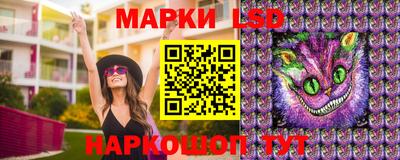 индика Жуковский