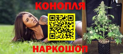 Альфа ПВП Заводоуковск