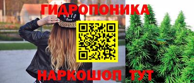 Альфа ПВП Заводоуковск