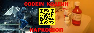 индика Жуковский