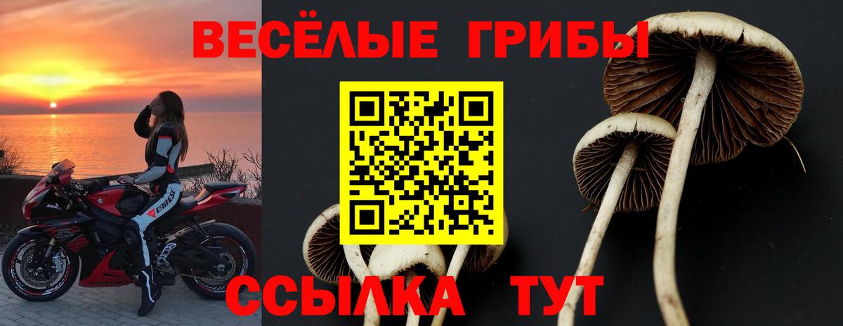 Псилоцибиновые грибы Psilocybe  Вход с VPN  Мурманск 